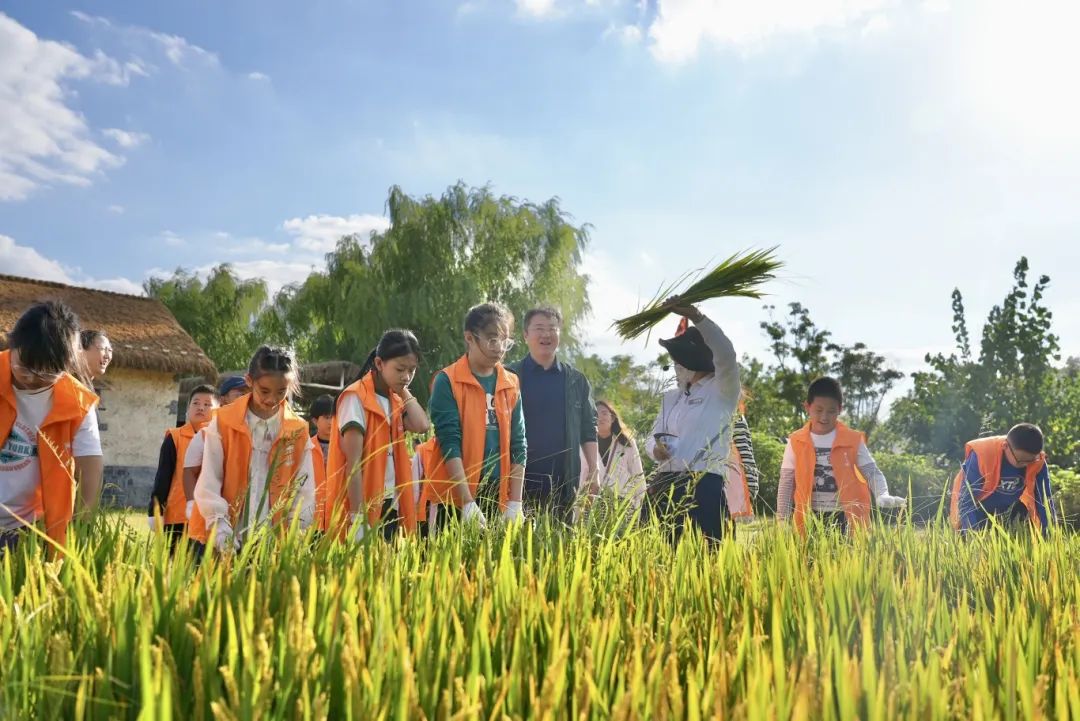 大纵湖,盐城文旅,大纵湖文旅,文旅集团,景点,旅游景区