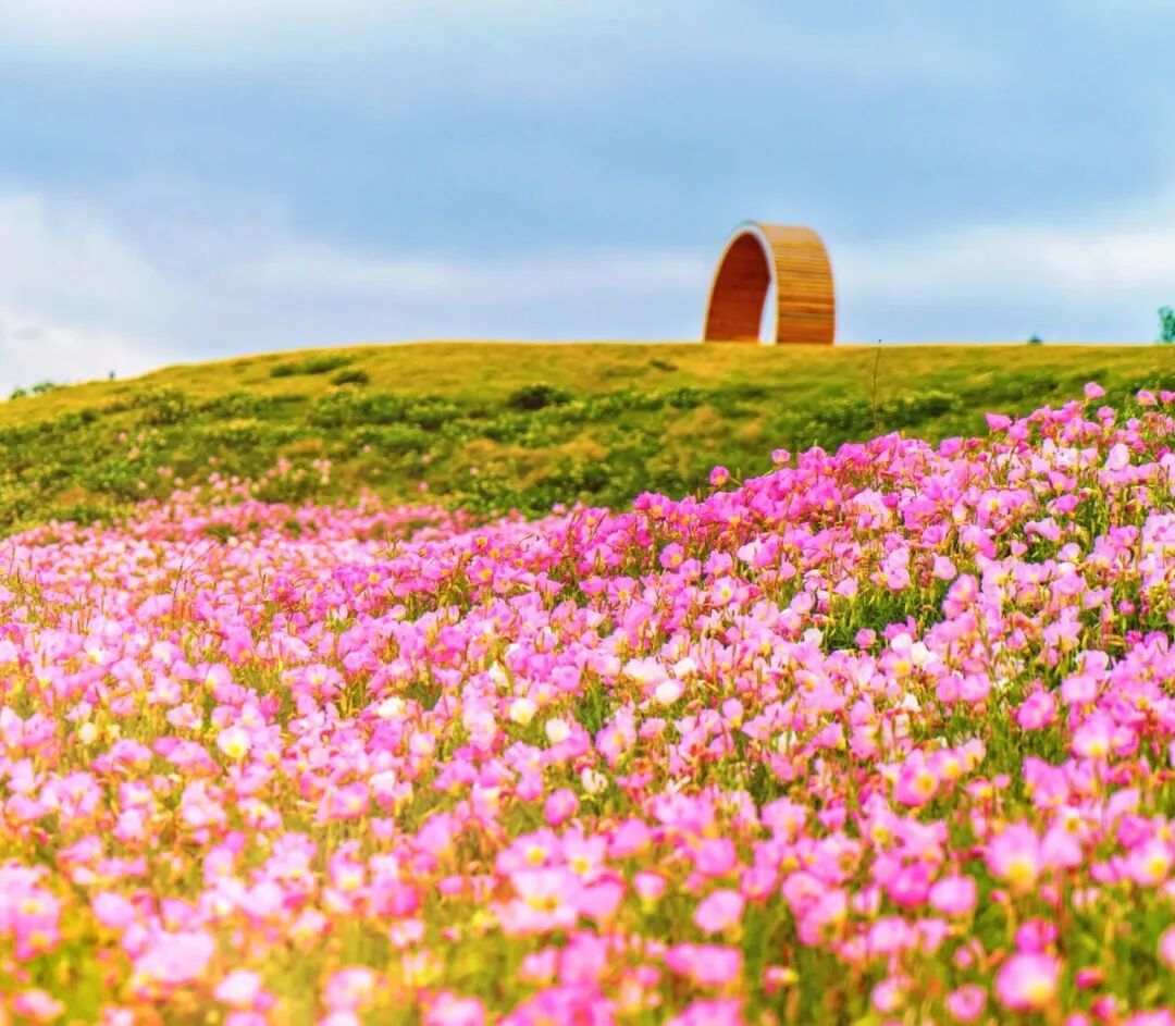 大纵湖,盐城文旅,大纵湖文旅,文旅集团,景点,旅游景区 大纵湖,盐城文旅,大纵湖文旅,文旅集团,景点,旅游景区