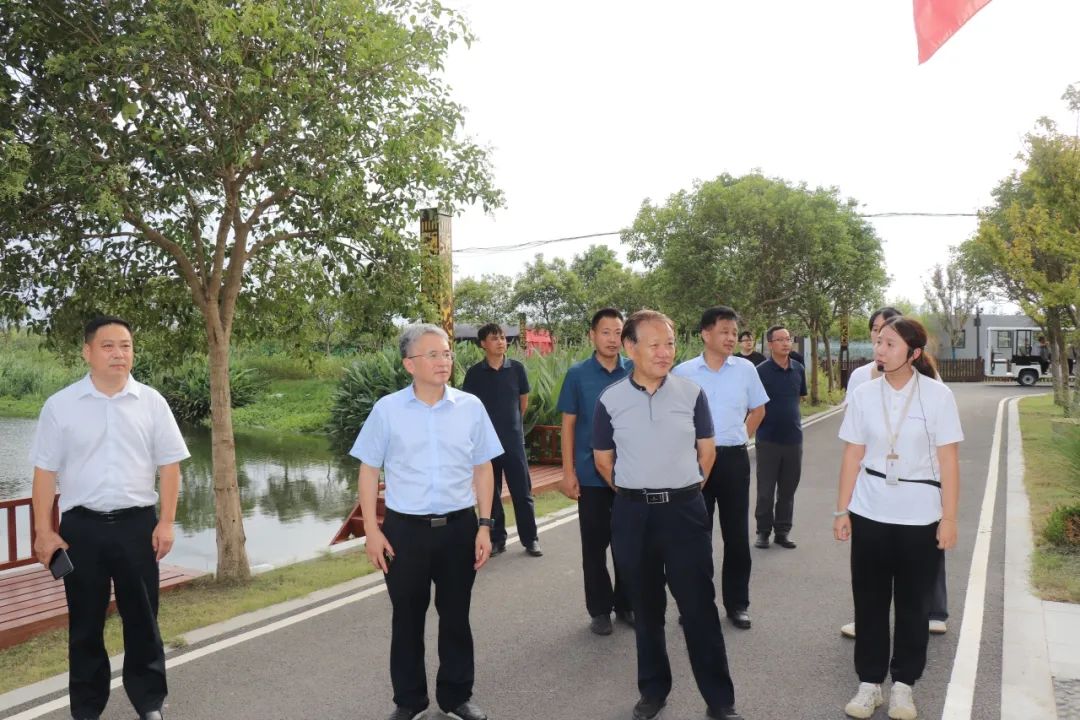 大纵湖,盐城文旅,大纵湖文旅,文旅集团,景点,旅游景区