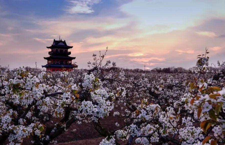 大纵湖,盐城文旅,大纵湖文旅,文旅集团,景点,旅游景区