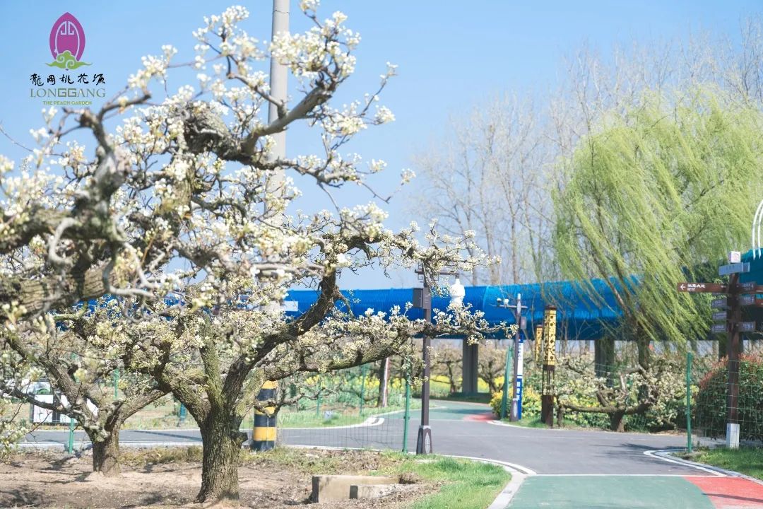 赏花季时光栈道.jpg
