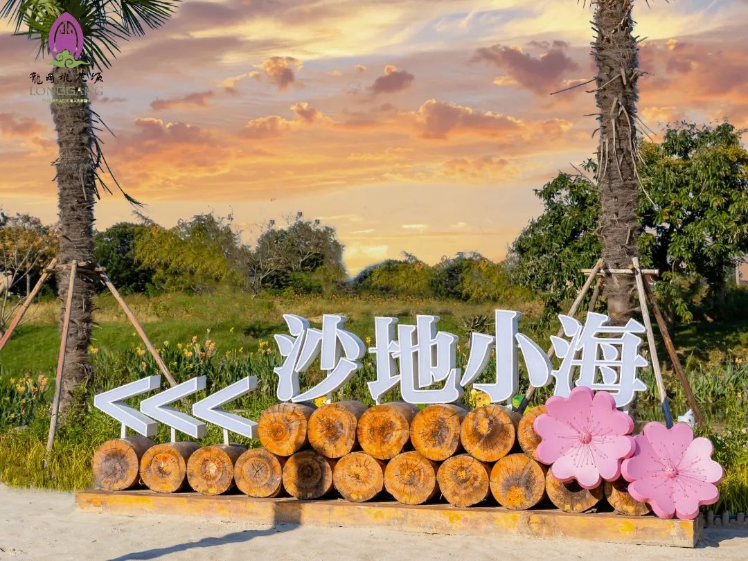 夏天2.jpg