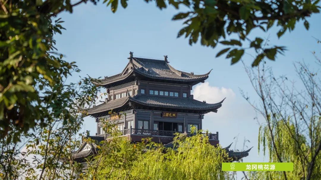 大纵湖,盐城文旅,大纵湖文旅,文旅集团,景点,旅游景区