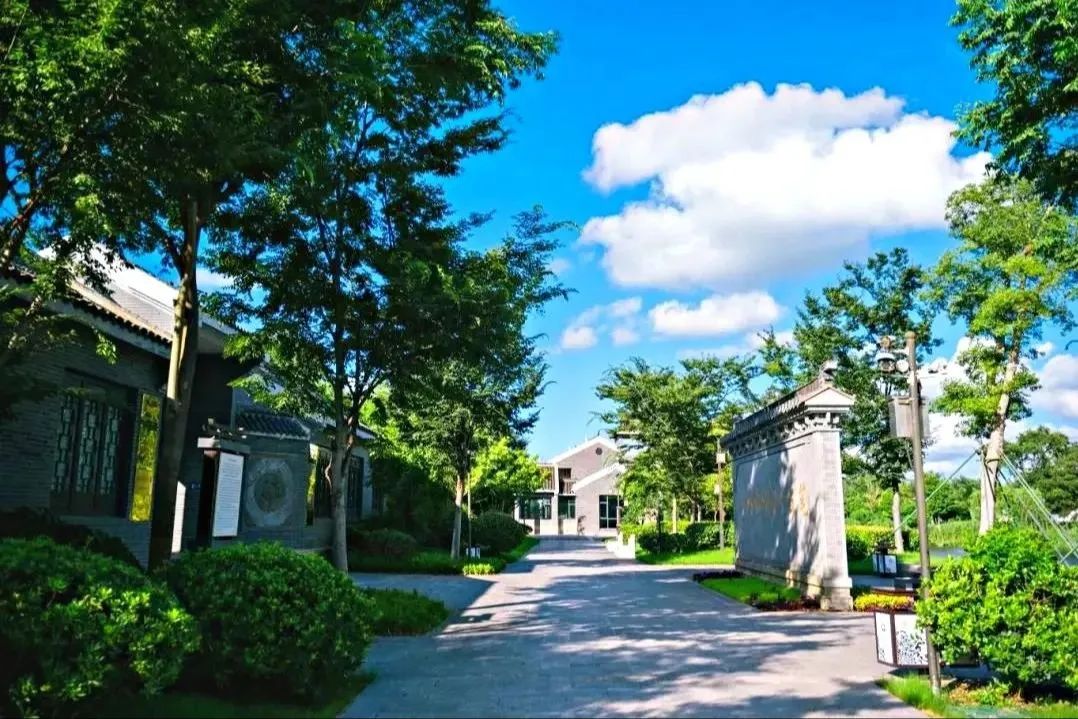 大纵湖,盐城文旅,大纵湖文旅,文旅集团,景点,旅游景区