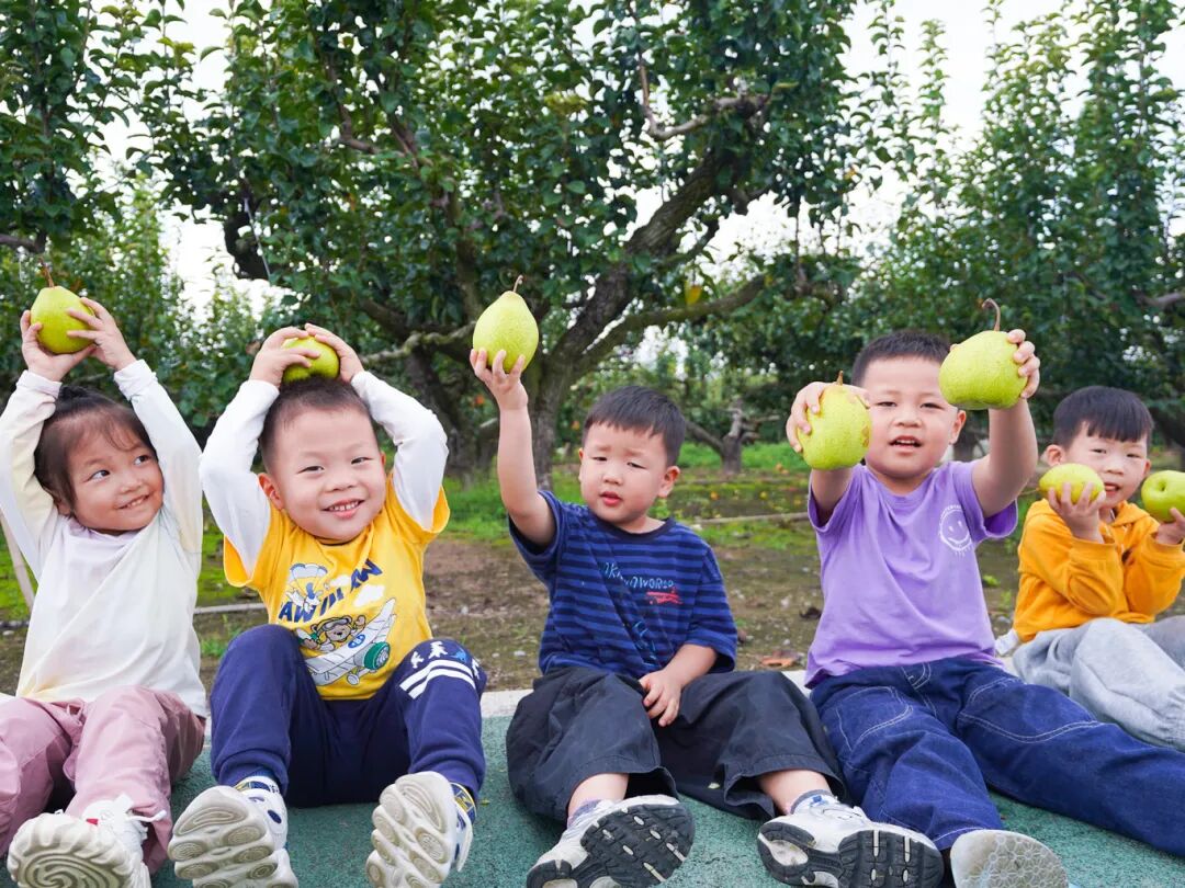 大纵湖,盐城文旅,大纵湖文旅,文旅集团,景点,旅游景区