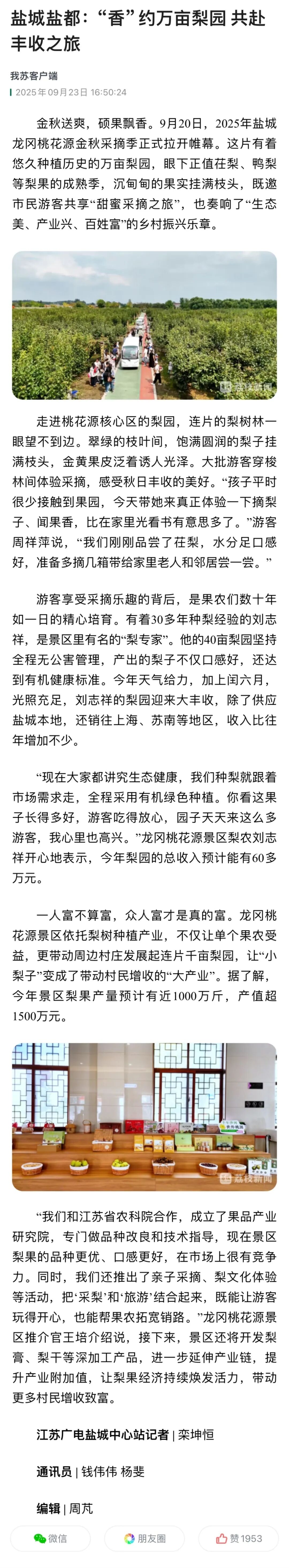 大纵湖,盐城文旅,大纵湖文旅,文旅集团,景点,旅游景区