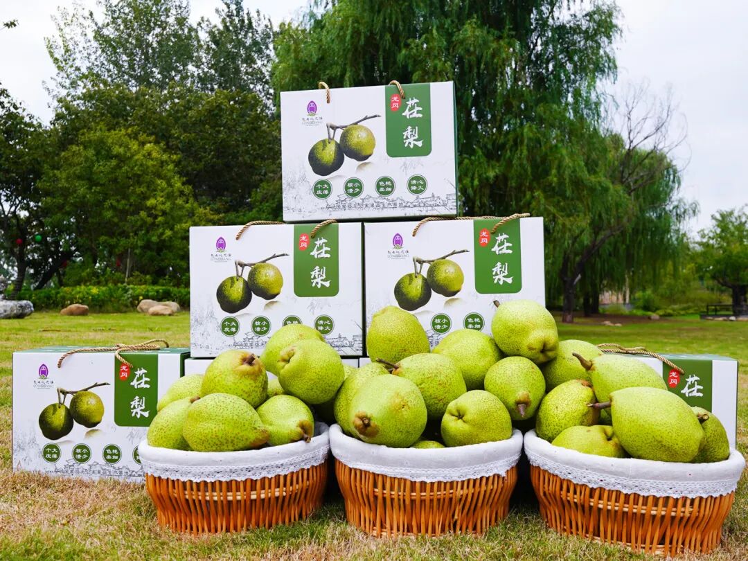 大纵湖,盐城文旅,大纵湖文旅,文旅集团,景点,旅游景区