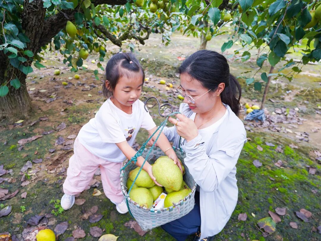 大纵湖,盐城文旅,大纵湖文旅,文旅集团,景点,旅游景区