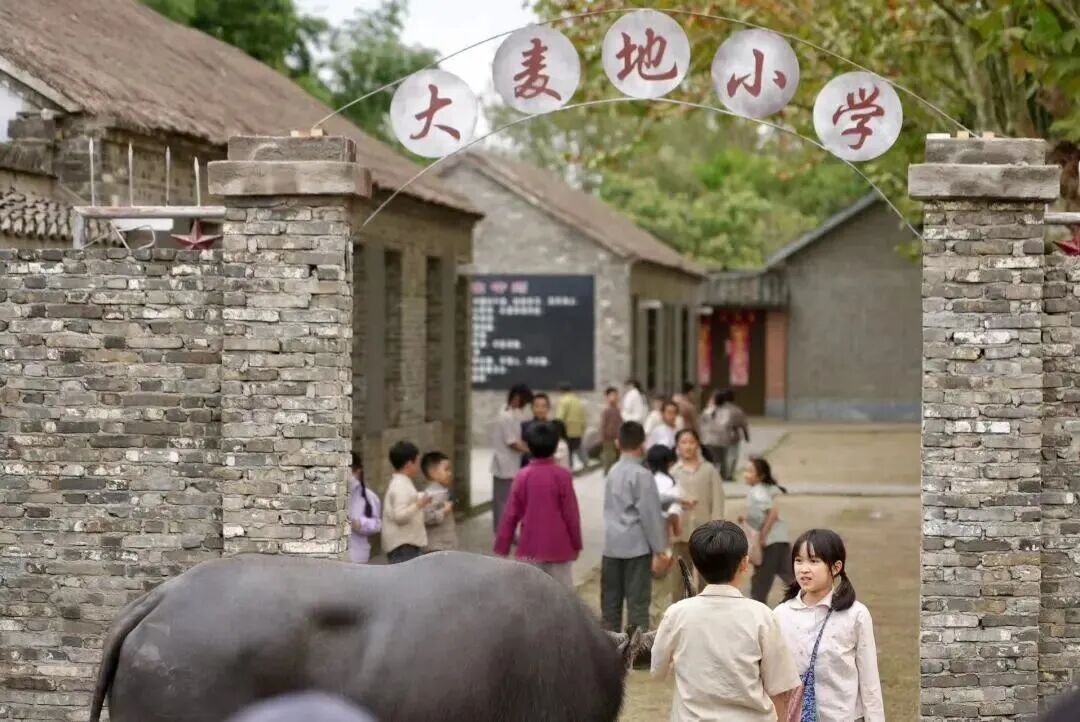 大纵湖,盐城文旅,大纵湖文旅,文旅集团,景点,旅游景区