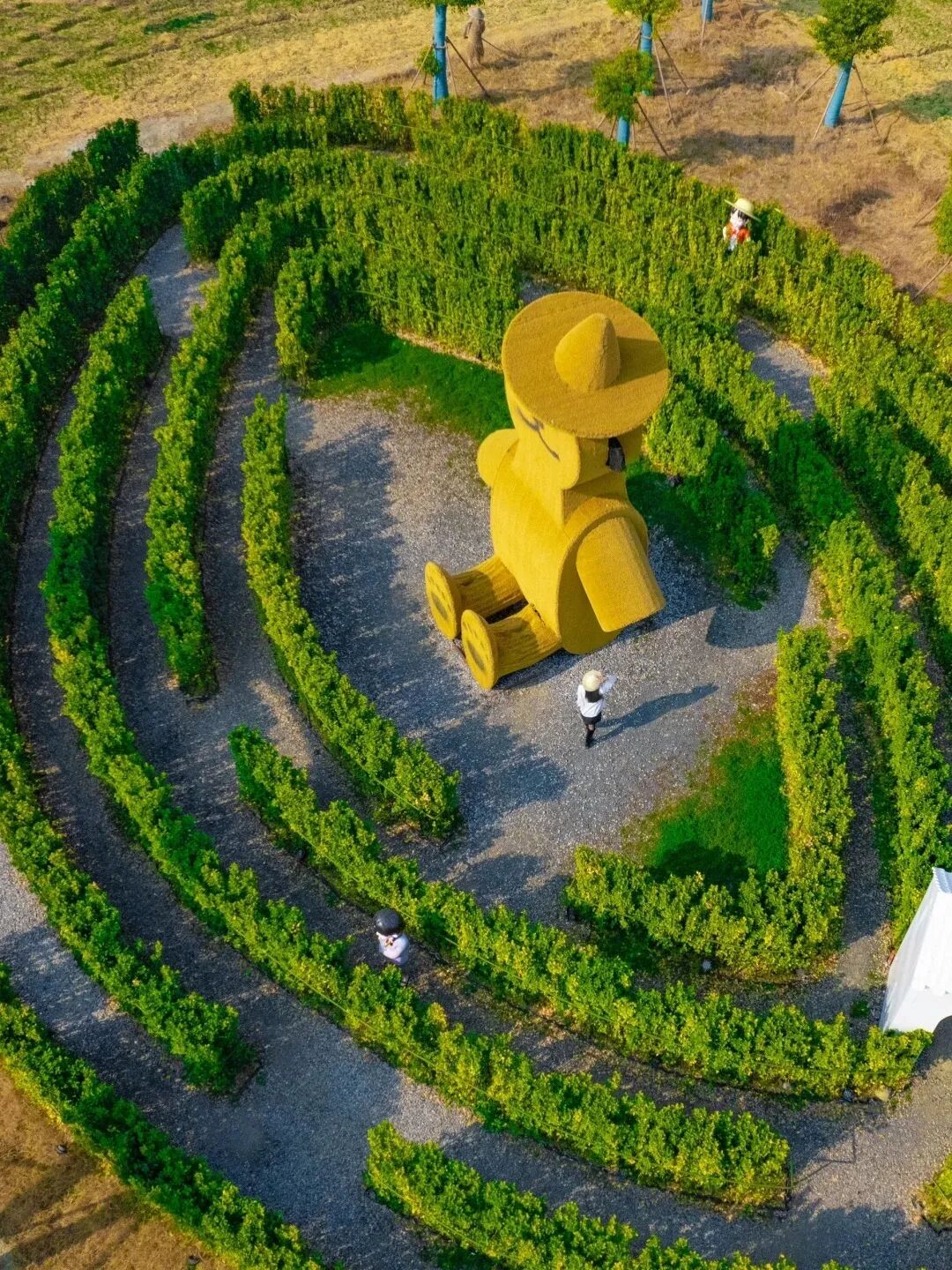 大纵湖,盐城文旅,大纵湖文旅,文旅集团,景点,旅游景区