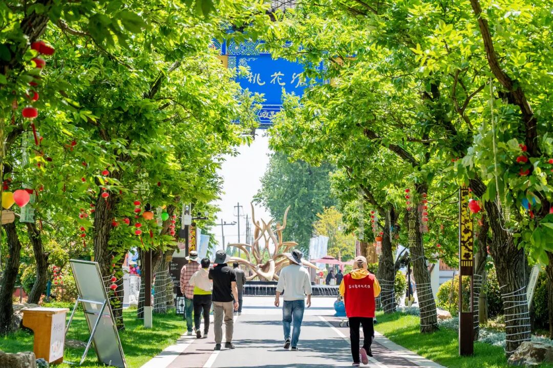 大纵湖,盐城文旅,大纵湖文旅,文旅集团,景点,旅游景区